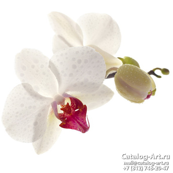 Натяжные потолки с фотопечатью - Белые орхидеи 17